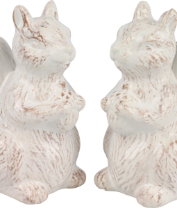 8202 SEL POIVRE « SASSY SQUIRREL » 2P